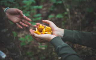 Retreats & Workshops (22)