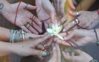 Retreats & Workshops (36)
