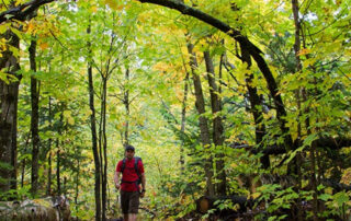 Trail Pass Gallery (16)