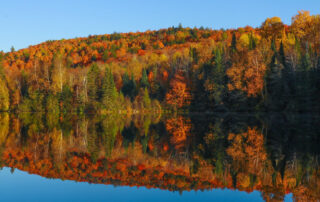 Trail Pass Gallery (4)