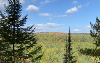 Trail Pass Gallery (6)