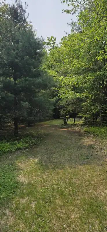 campsite 1 (2)