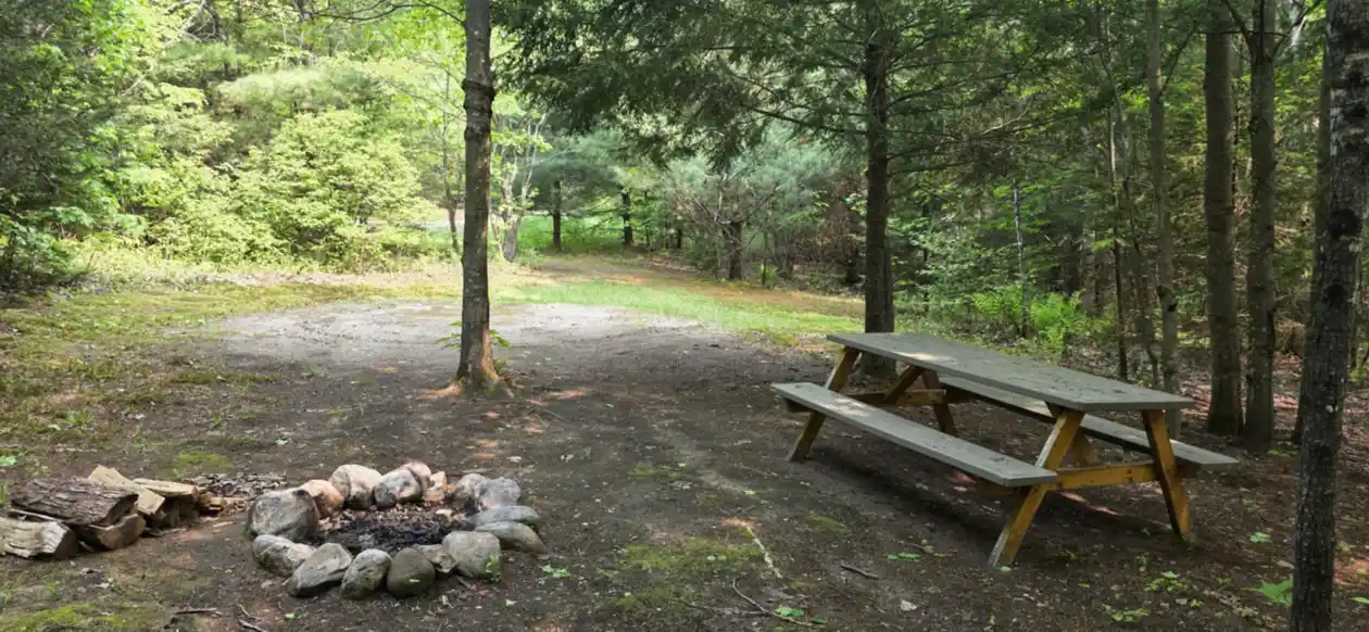 campsite 1 (5)