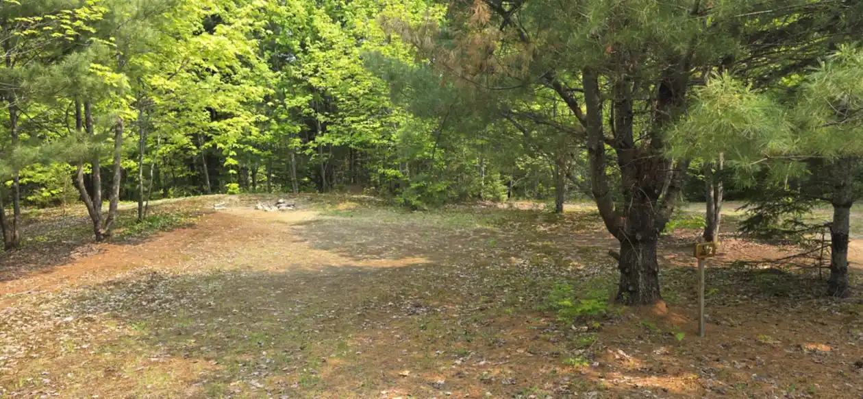 campsite 2 (2)