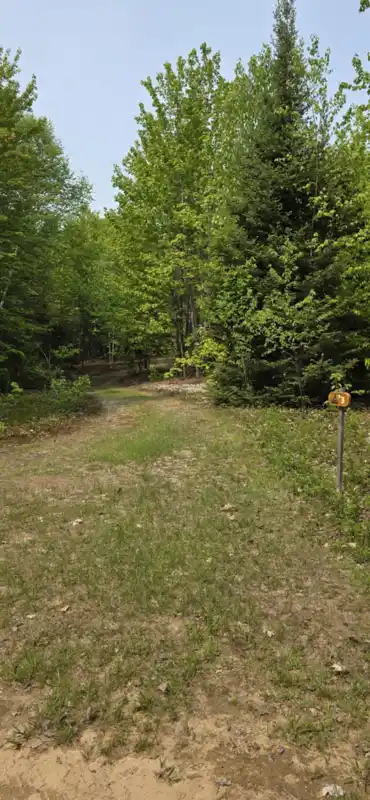 campsite 3 (2)
