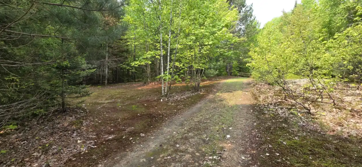 campsite 3 (3)