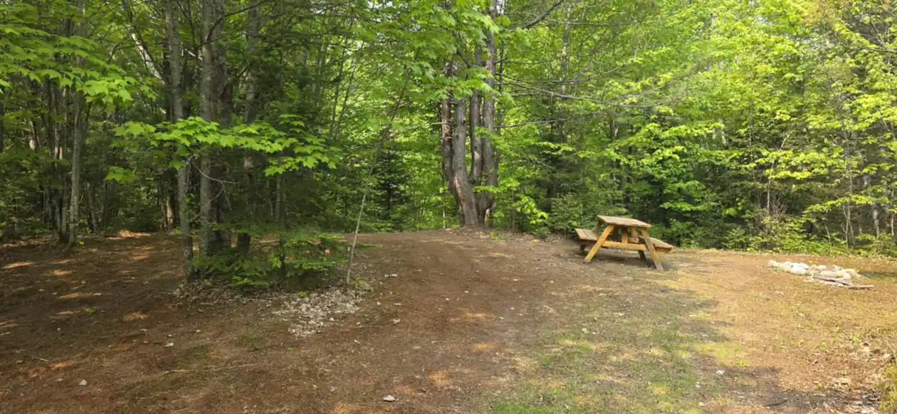 campsite 3 (5)