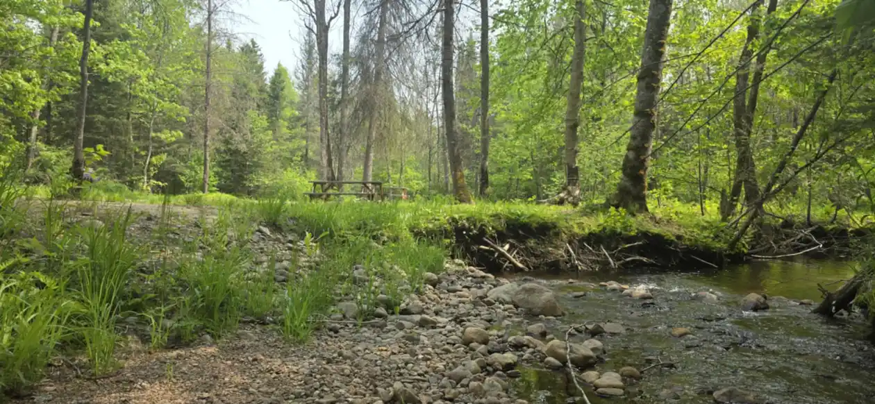 group site (12)
