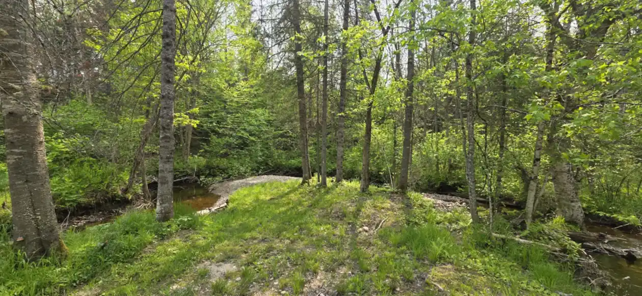 group site (13)