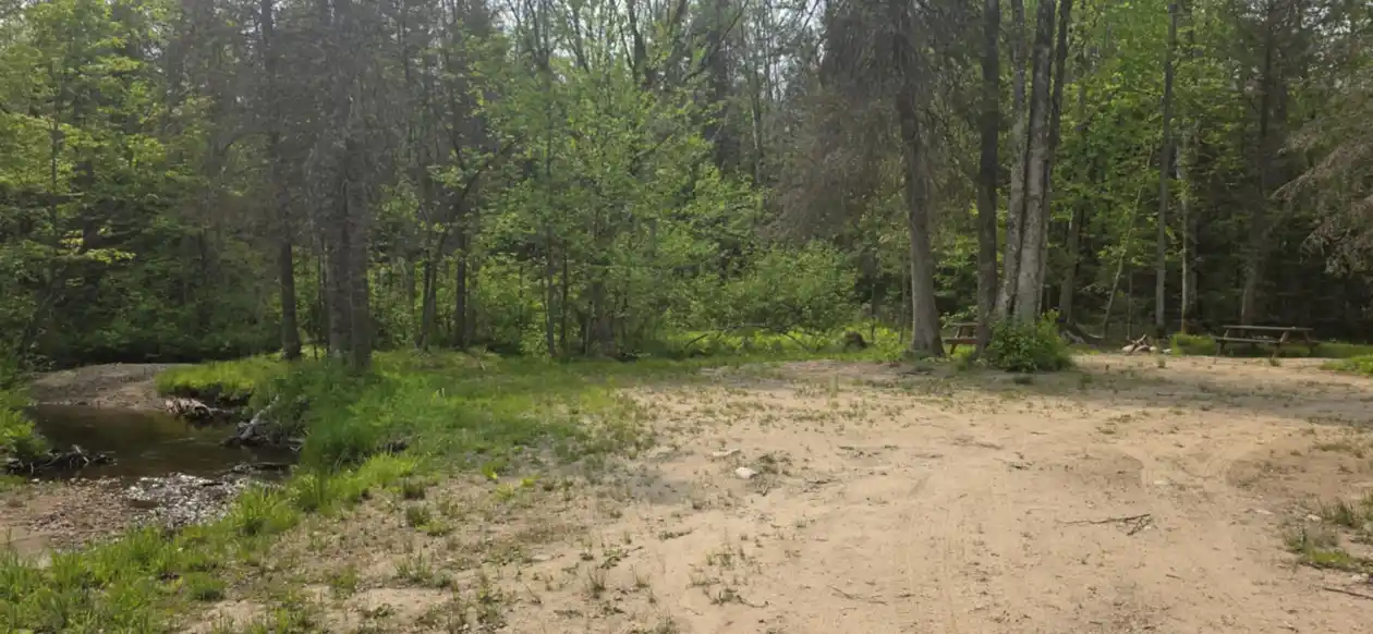 group site (2)