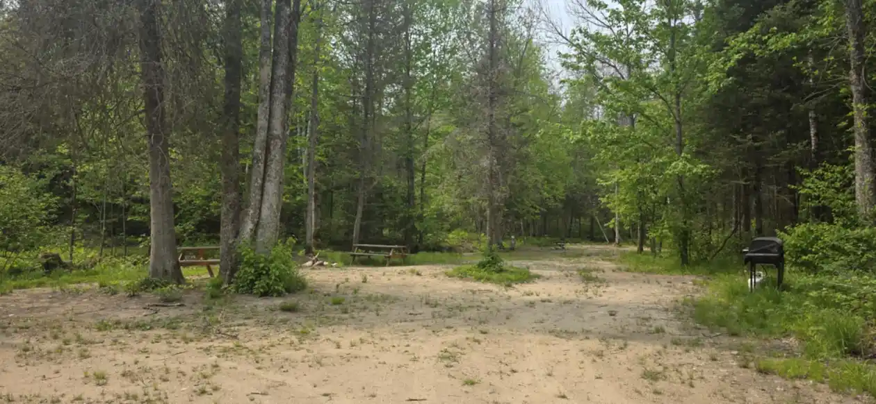group site (3)