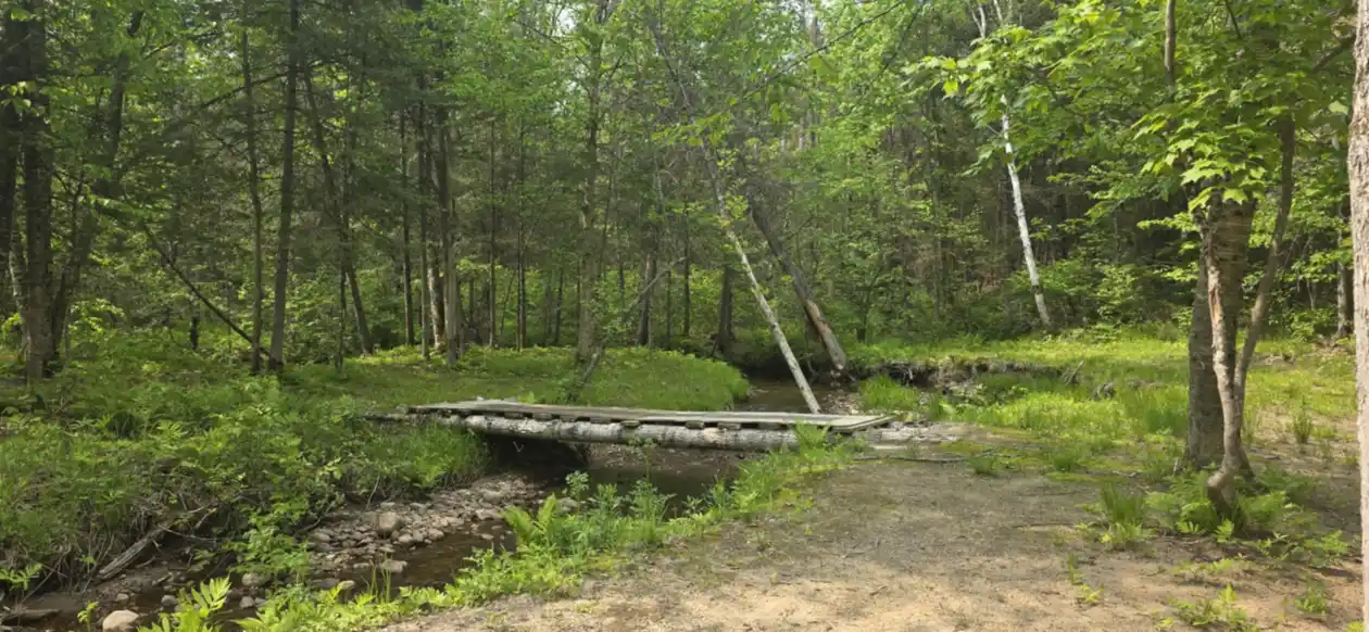 group site (6)