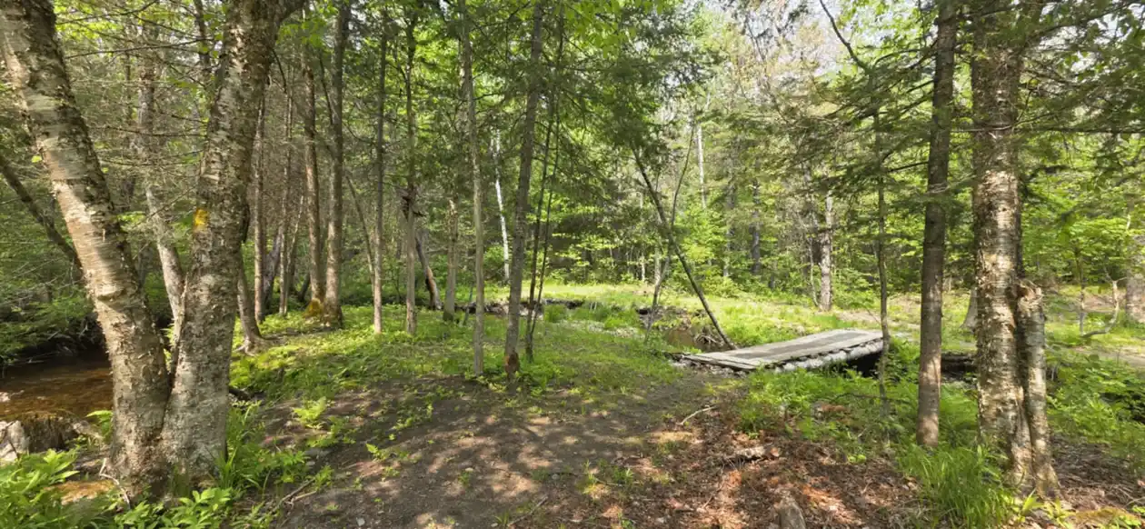 group site (7)