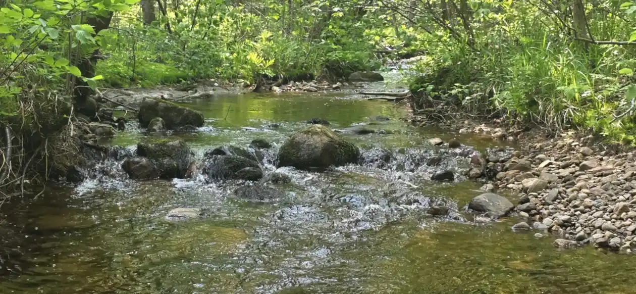 group site (9)