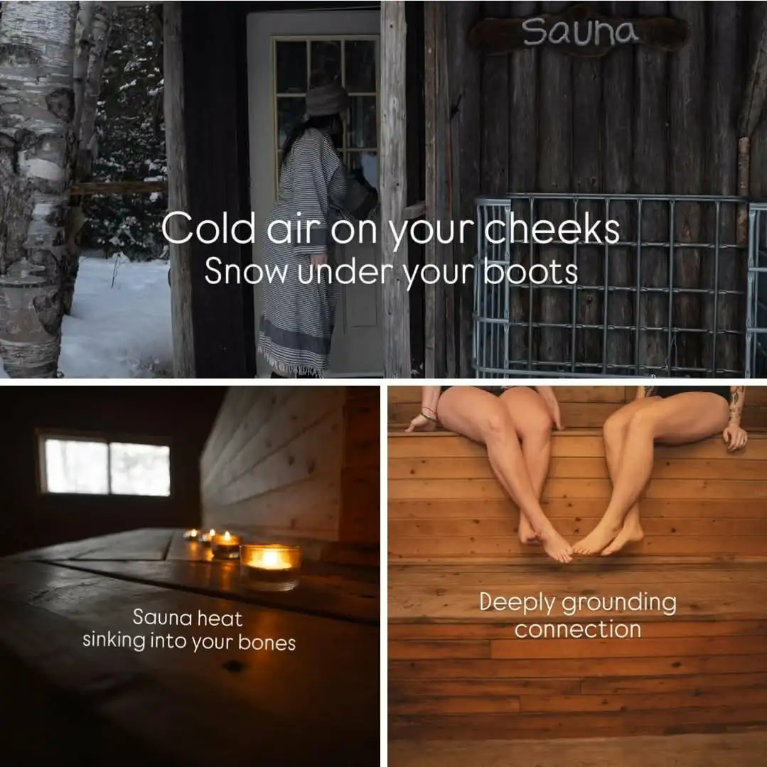A Winter Reset in Nature
